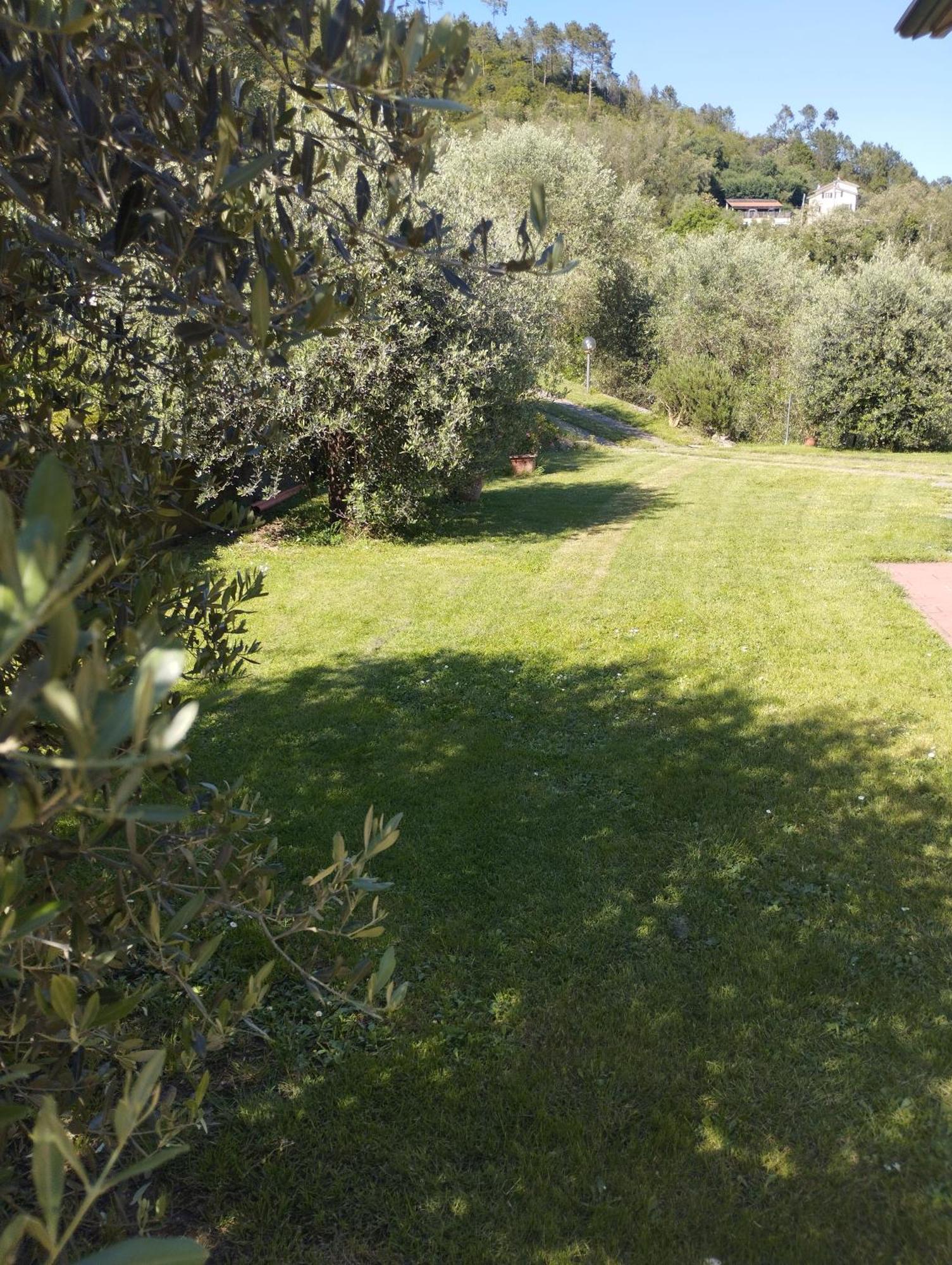 Villa Degli Ulivi Tivegna Exterior photo