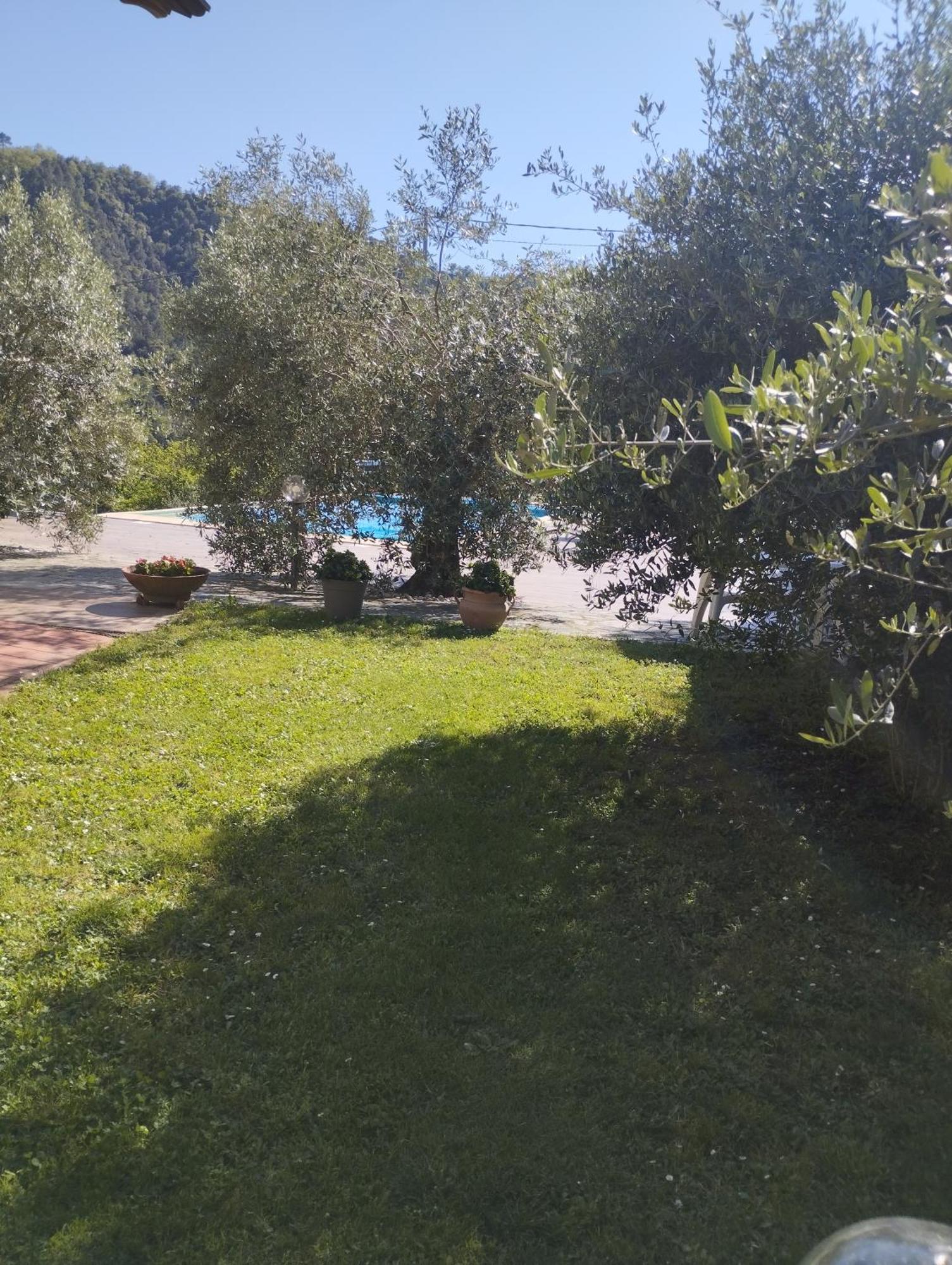 Villa Degli Ulivi Tivegna Exterior photo